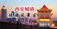 嫩草网站wwwww中国陕西-西安城墙旅游风景区